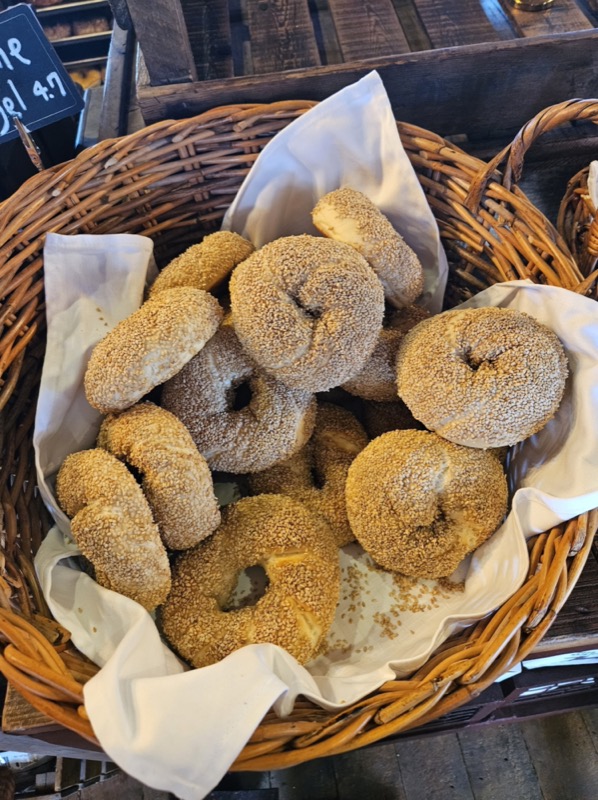 Pearl Street Bagels